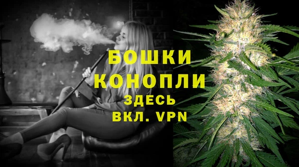 mdpv Инсар