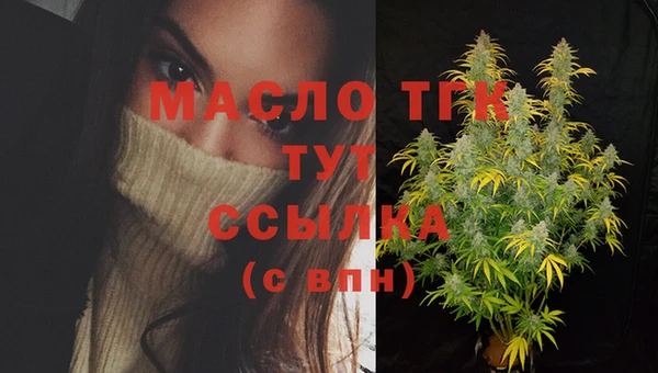ешки Инта