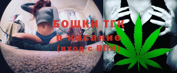 ешки Инта