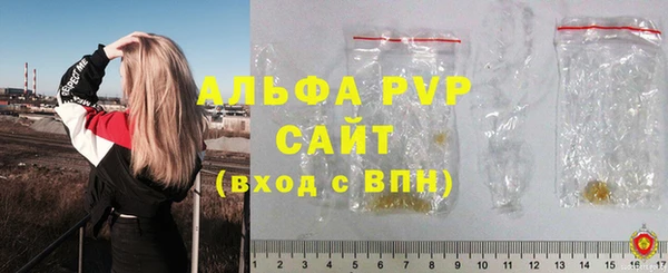 ешки Инта