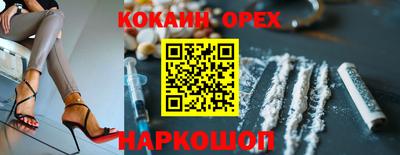 спайс Гусев