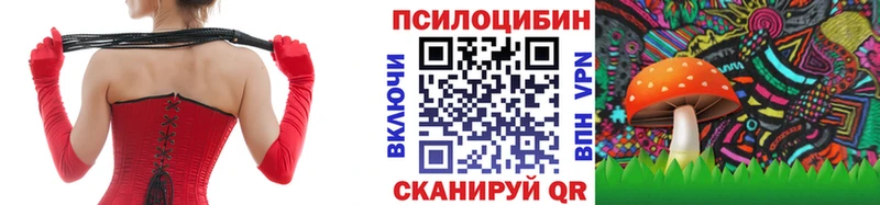 Псилоцибиновые грибы мицелий  Кропоткин 