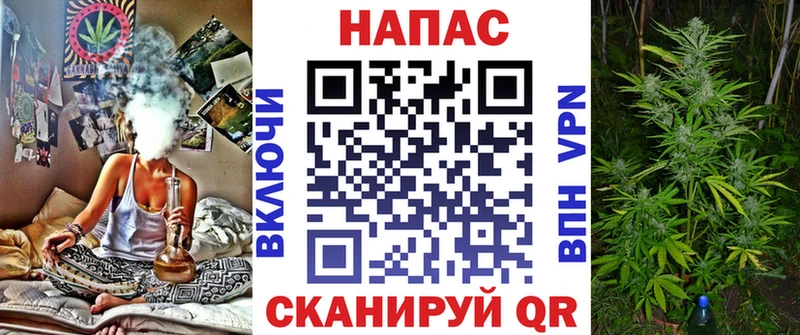 Каннабис OG Kush Кропоткин
